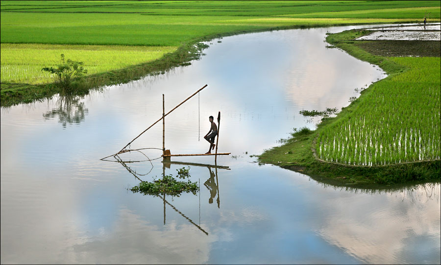 green bangladesh
