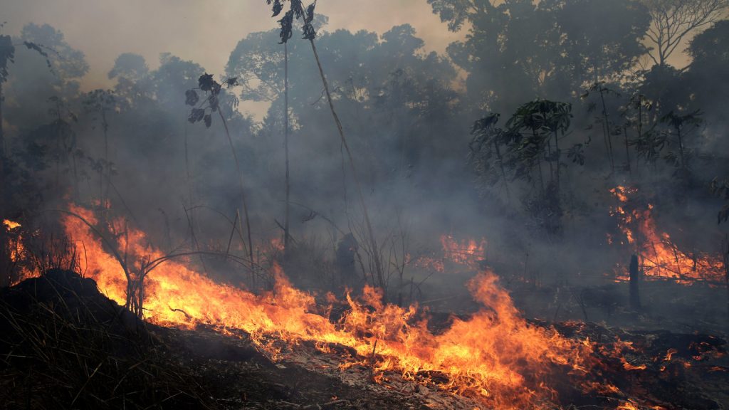 A fire burns along the road to Jacunda National Forest, near the city of Porto Velho in the Vila Nova Samuel region which is part of Brazil's Amazon, Monday, Aug. 26, 2019. The Group of Seven nations on Monday pledged tens of millions of dollars to help Amazon countries fight raging wildfires, even as Brazilian President Jair Bolsonaro accused rich countries of treating the region like a “colony.” (AP Photo/Eraldo Peres)