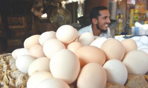 Egg seller in pakistan