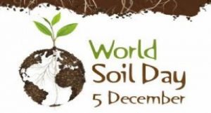 World soil day
