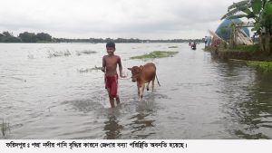 faridpur flood pic-1
